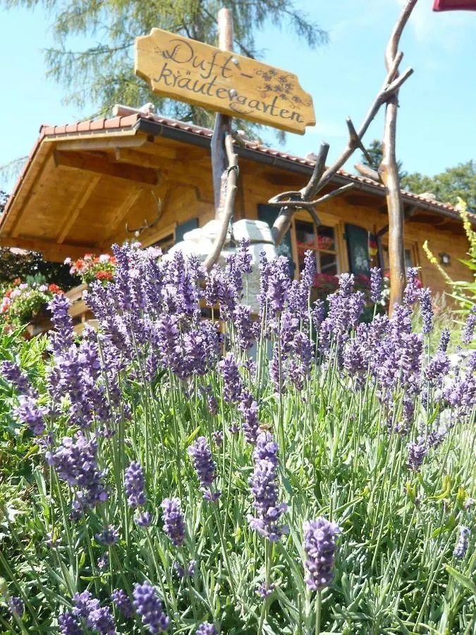 Landhotel Alphorn Ofterschwang 3*,